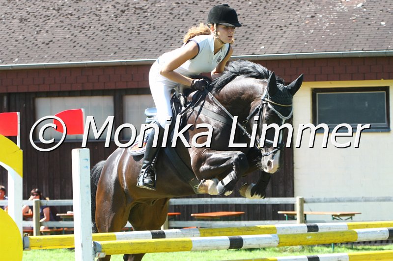 109M7256_Zidini H_Spring L.JPG